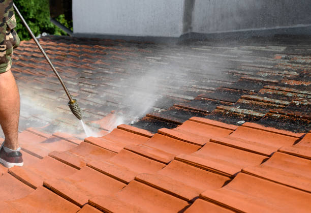 Best Exterior Home Cleaning  in Bridgetown, OH